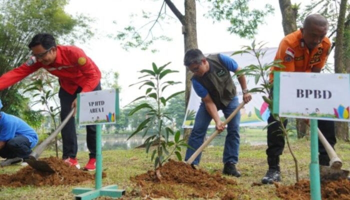 Peringati HLHN, PLN UID Sumut Tanam Pohon di Taman Cadika