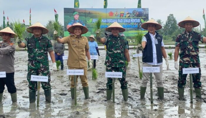 Pangdam I/BB Hadiri Penanaman Padi di Lahan Hanpangan Kodim DS