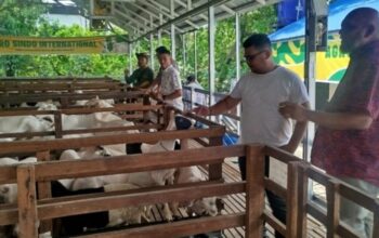 PUB Sumut Jajaki Kerja Sama dengan PT Agro Sindo International