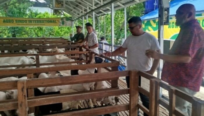 PUB Sumut Jajaki Kerja Sama dengan PT Agro Sindo International