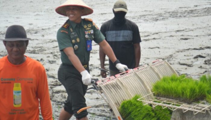 Dandim 0204/DS Ikut Tanam Padi Bersama Bupati Deliserdang di Kecamatan Beringin