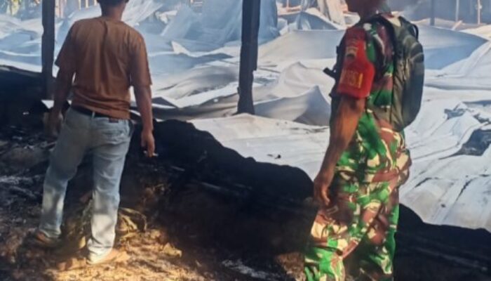 Babinsa DS Bersama Warga Padamkan Api di Lokasi Ternak Ayam di Bandar Magodang