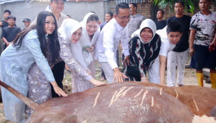 Wakil Walikota Medan Serahkan 4 Hewan Kurban