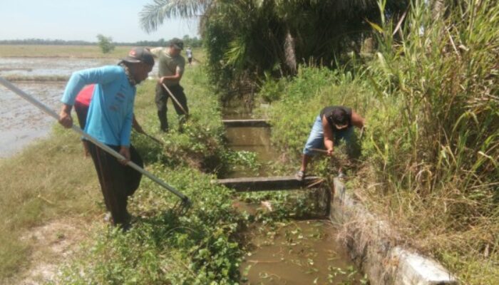 Babinsa DS Bersama Warga Laksanakan Gotong Royong Tagana