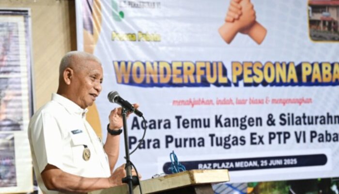 Surya Dari ‘Anak Kebon’, Guru Hingga Politisi