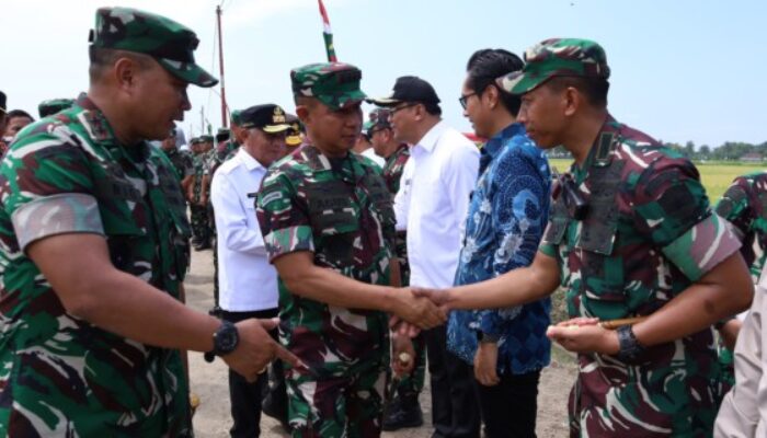 Panglima TNI Apresiasi Dandim 0204/DS Pada Panen Raya di Rumania