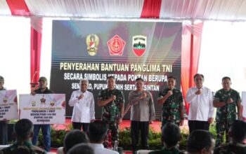 Wagubsu Bersama Panglima TNI Panen Raya Padi di Deliserdang