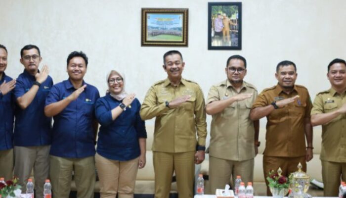 PLN Perkuat Sinergi di Mandailing Natal, Wujudkan Semangat Kemerdekaan Melalui Listrik yang Merata dan Andal