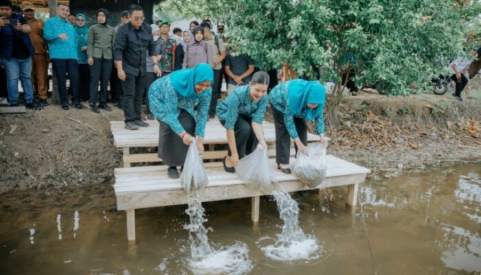 Kahiyang Ayu Tabur 15.000 Benih Ikan di Langkat