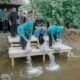 Kahiyang Ayu Tabur 15.000 Benih Ikan di Langkat