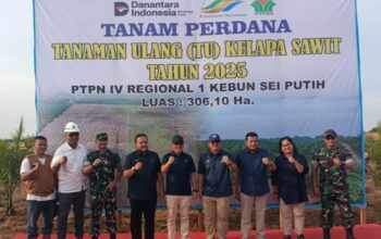 Dandim DS Hadiri Tanam Ulang Kelapa Sawit 2025