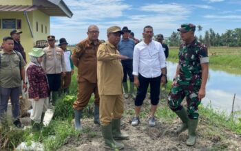 Dandim 0204/DS Hadiri Olah Lahan Optimasi Lahan di Bogak Besar