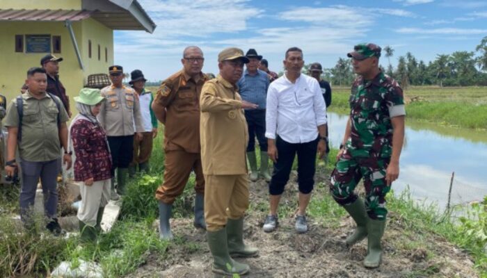 Dandim 0204/DS Hadiri Olah Lahan Optimasi Lahan di Bogak Besar