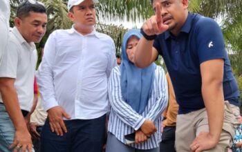 Akademisi UINSU : Ucapan Bobby Soal Pelat BL Dipelintir
