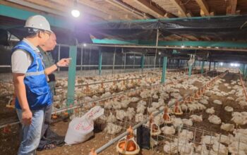 Pemerintah Jaga Tarif Listrik Tetap Terjangkau Sepanjang 2025
