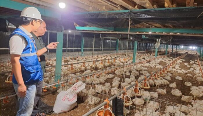 Pemerintah Jaga Tarif Listrik Tetap Terjangkau Sepanjang 2025