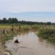 Satgas TMMD Bersama Petani Bersihkan Saluran Irigasi di Tegal Sari