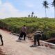 Sinergi Tiga Pilar Bergotong Royong Pasang Box Culvert dan Merapikan Jalan TMMD