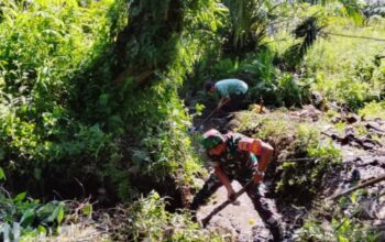 Satgas TMMD 126 Kodim DS Gotong Royong Bersihkan Parit di Desa Blok 10