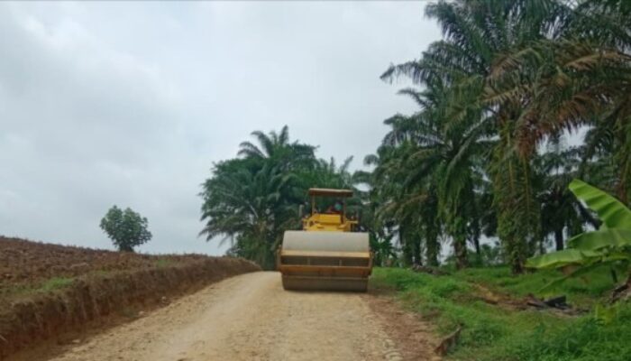 Karya TMMD Ke-126 Kodim DS Buat Jalan Desa Berubah Wajah