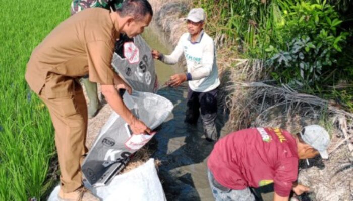Babinsa Kodim DS Benahi Tanggul Irigasi di Pematang Guntung