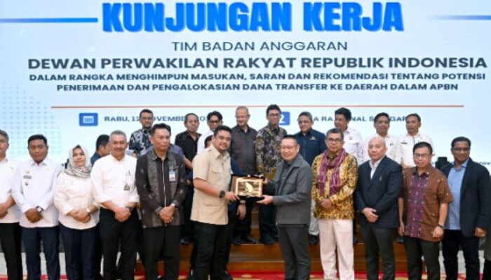 Terima Kunjungan Banggar DPR RI, Bobby Minta Transfer ke Daerah 3T Jadi Perhatian