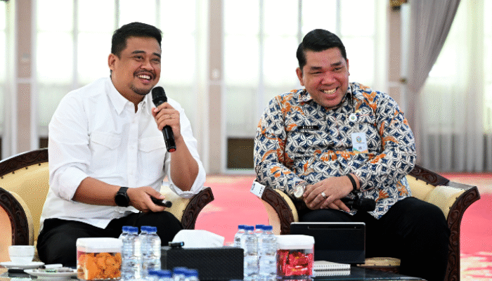 Pemprovsu Susun Strategi Pengembangan Kawasan Unggulan Tiga Sektor