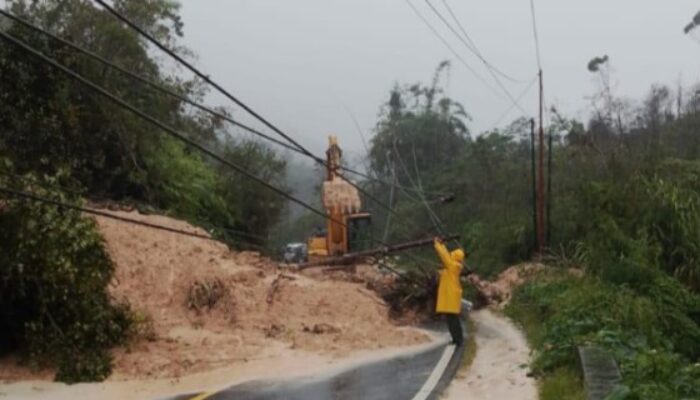 Alami Cuaca Ekstrem di Tapanuli Tengah dan Sibolga, PLN UP3 Sibolga Gerak Cepat Amankan Jaringan Listrik