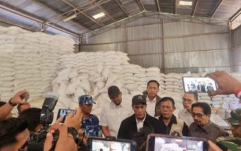 Mentan Pastikan Stok Beras Sumut Aman, Siapkan Tiga Kali Lipat dari Kebutuhan