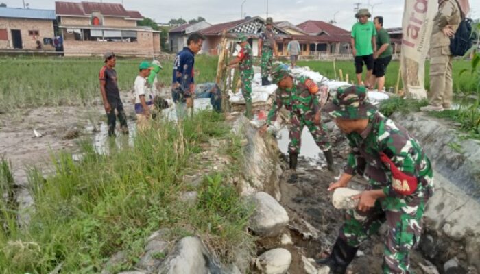 Sinergi TNI dan Warga, Babinsa Koramil 06/LP Perbaiki Tanggul Jebol di Perbatasan Lubuk Pakam