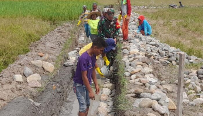 Babinsa Pantai Cermin Kanan Gelar Kegiatan Kamis Tagana