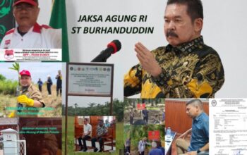 Jaksa Agung Soroti Pengelolaan Sitaan, Kebun Sawit di Langkat Tetap Dipanen Meski Disita