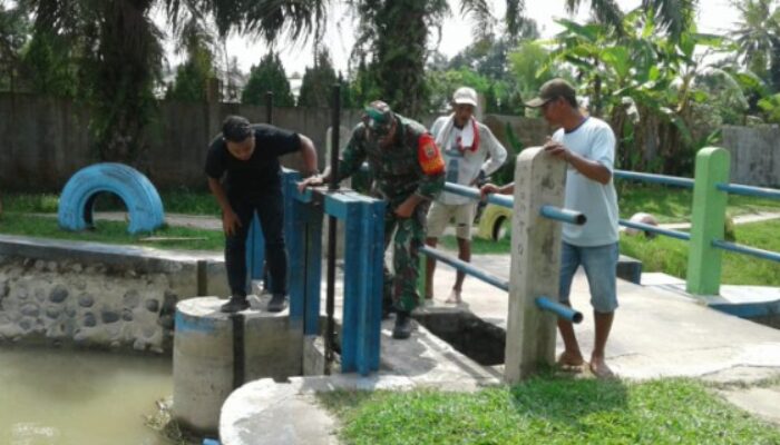Babinsa Koramil 07/PB Periksa Saluran Irigasi di Simpang Tiga Pekan, Antisipasi Banjir