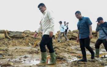 Aksi Bobby Berbuah Rp23,32 Triliun bagi Pemulihan Sumut