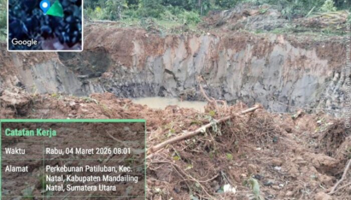 Dugaan Penambangan Emas Ilegal di PSU Madina Jadi Sorotan