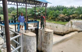 Babinsa Koramil 16/DMS Laksanakan Kamis Tagana