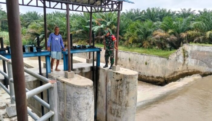 Babinsa Koramil 16/DMS Laksanakan Kamis Tagana