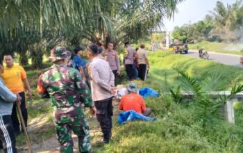 Gotong Royong Muspika Pegajahan Bersihkan Jalan Bingkat–Melati