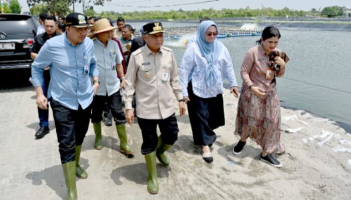 Wagub Sumut Tinjau UPTD BIAPAL Sergai, Dorong Peningkatan PAD Sektor Perikanan
