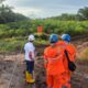 PLN Pulihkan Listrik Sumut dalam Hitungan Jam Setelah 12 Tower Roboh