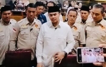 MAI Desak Audit Pohon Rawan Tumbang di Medan