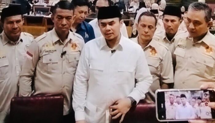 MAI Desak Audit Pohon Rawan Tumbang di Medan
