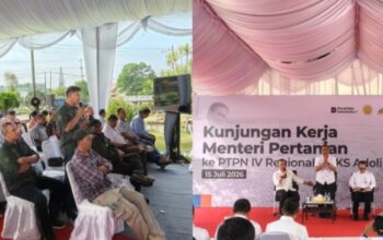 Kawal Program Mentan, Apkasindo Labura Berharap Petani Sawit Dapat Harga Layak