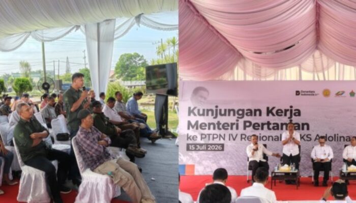 Kawal Program Mentan, Apkasindo Labura Berharap Petani Sawit Dapat Harga Layak