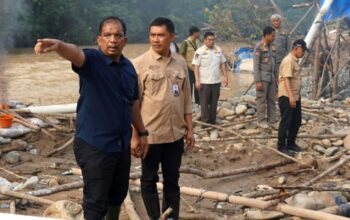 Atas Arahan Gubernur Bobby Nasution, Pemprovsu Kembali Bongkar Tambang Emas Ilegal di Sungai Batang Gadis