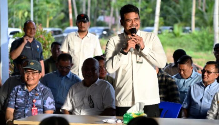 Bobby Bangun Rumah Produksi Kelapa di Nias Utara