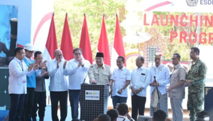 Prabowo Luncurkan PLTS 100 GWp, Investasi Rp1.140 Triliun dan Potensi 5,5 Juta Lapangan Kerja