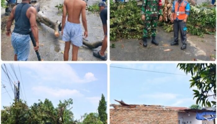 Babinsa Kodim DS Bantu Warga Terdampak Cuaca Ekstrem di Beringin