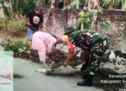Babinsa Kodim DS dan Warga Firdaus Laksanakan Gotong Royong